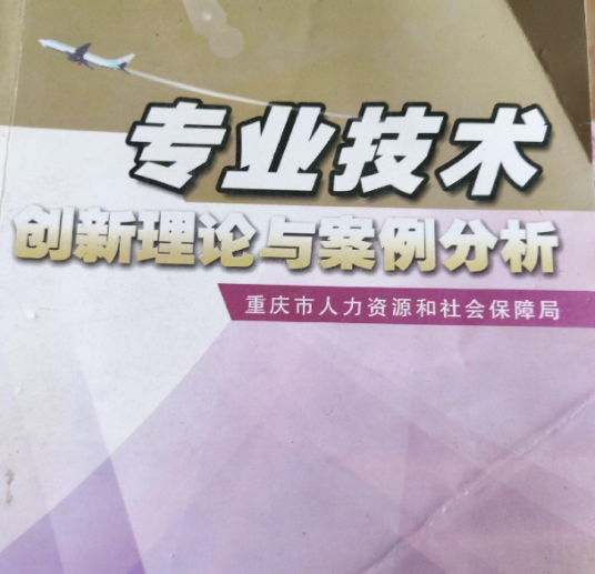 专业技术创新理论与案例分析