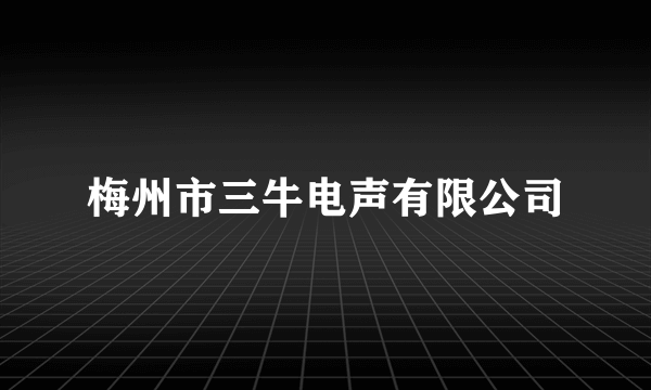 梅州市三牛电声有限公司