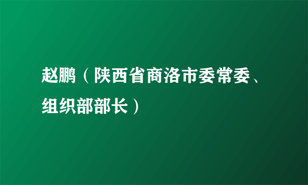 赵鹏（陕西省商洛市委常委、组织部部长）