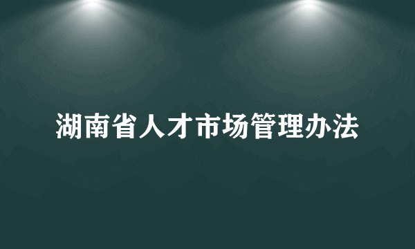 湖南省人才市场管理办法