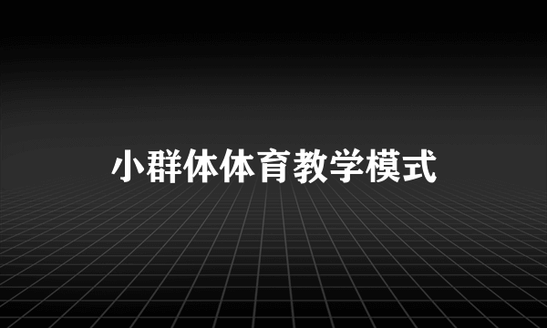 小群体体育教学模式