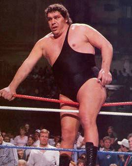 Andre the Giant（法国摔角手）