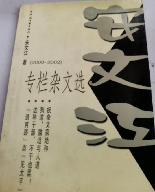 安文江专栏杂文选