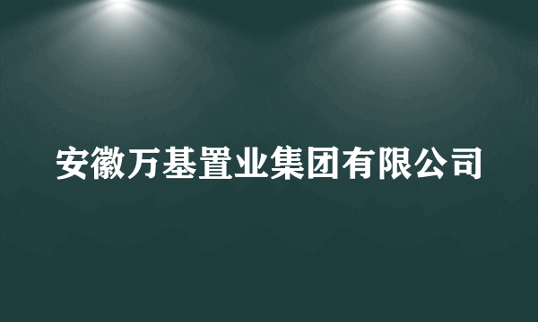 安徽万基置业集团有限公司