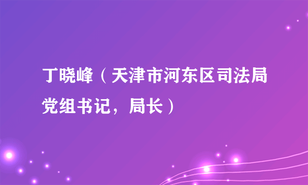 丁晓峰（天津市河东区司法局党组书记，局长）