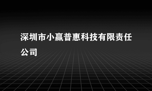 深圳市小赢普惠科技有限责任公司