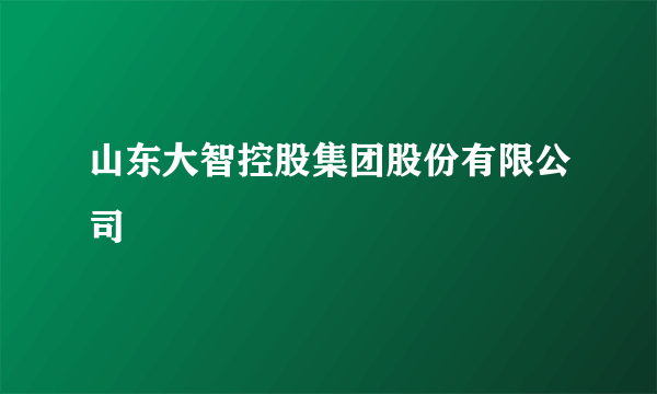 山东大智控股集团股份有限公司