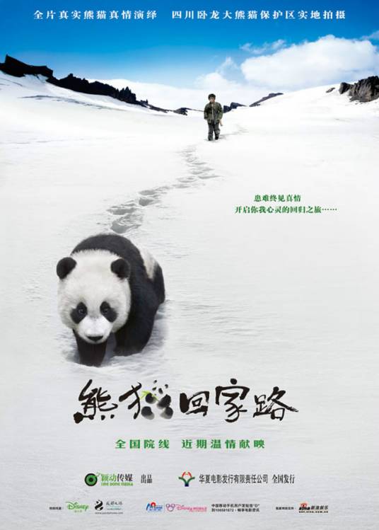 熊猫回家路（2009年俞钟执导电影）