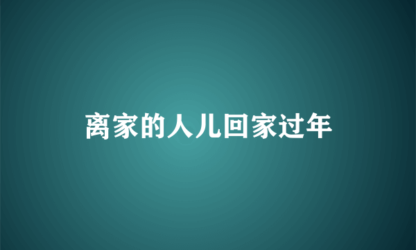 离家的人儿回家过年