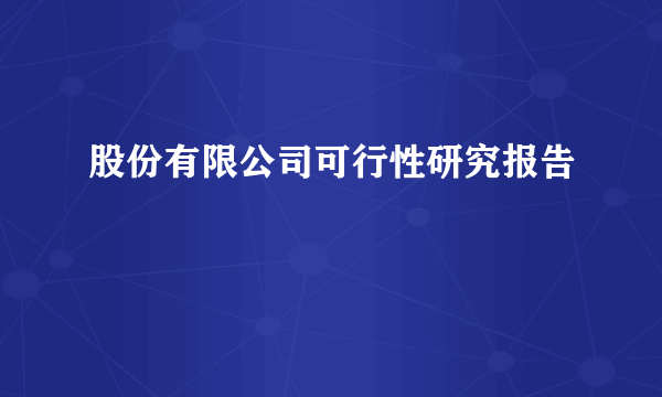 股份有限公司可行性研究报告