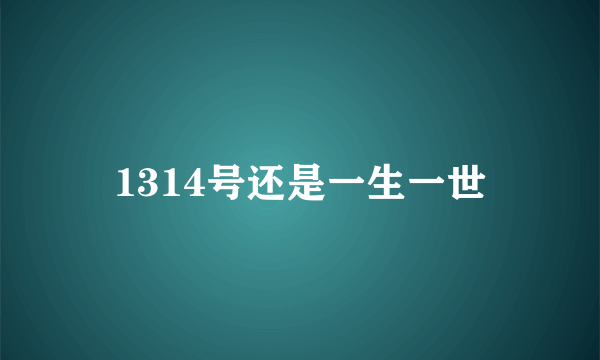 1314号还是一生一世