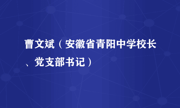 曹文斌（安徽省青阳中学校长、党支部书记）