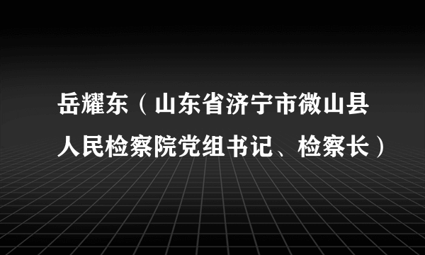 岳耀东（山东省济宁市微山县人民检察院党组书记、检察长）