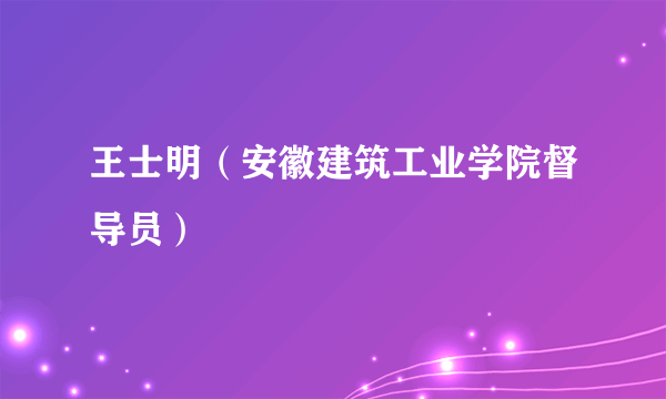 王士明（安徽建筑工业学院督导员）