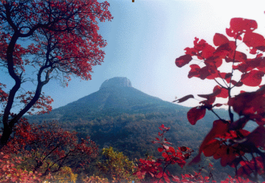 旅游景区