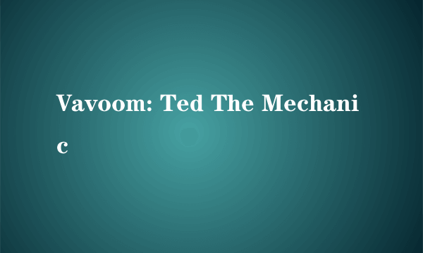 Vavoom: Ted The Mechanic