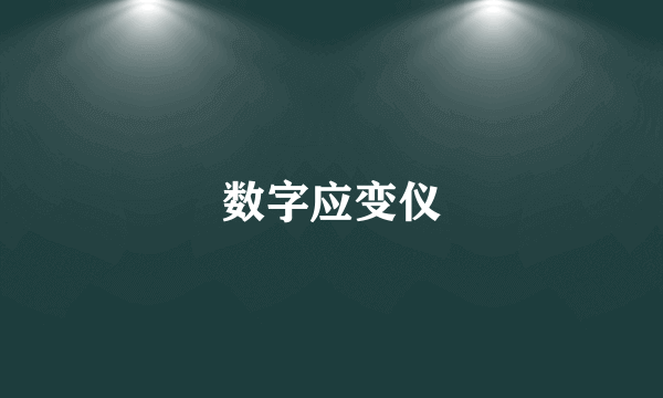 数字应变仪