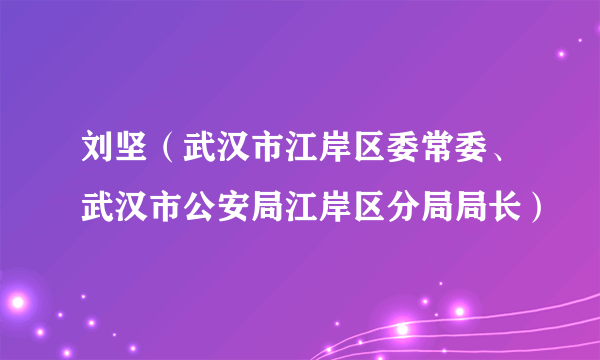 刘坚（武汉市江岸区委常委、武汉市公安局江岸区分局局长）