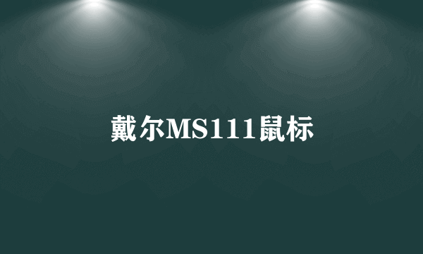 戴尔MS111鼠标