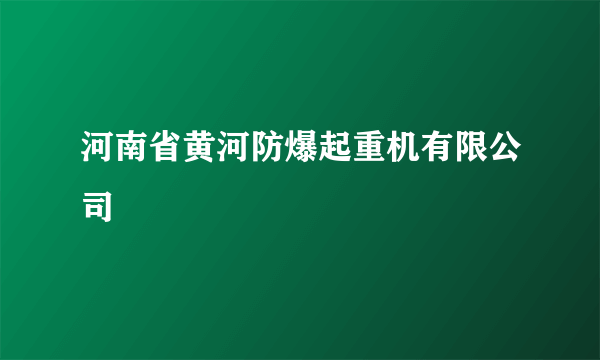 河南省黄河防爆起重机有限公司