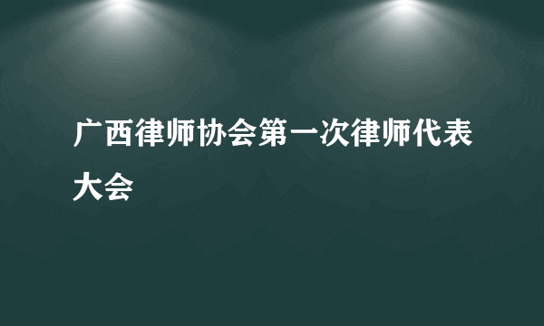 广西律师协会第一次律师代表大会