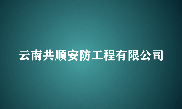 云南共顺安防工程有限公司