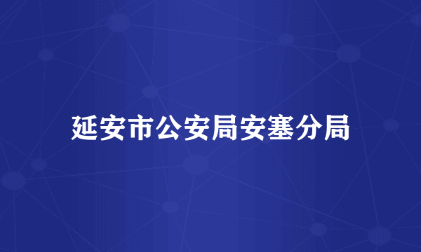 延安市公安局安塞分局