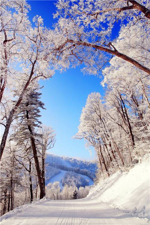 万达长白山国际滑雪场