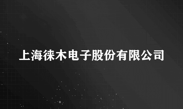 上海徕木电子股份有限公司