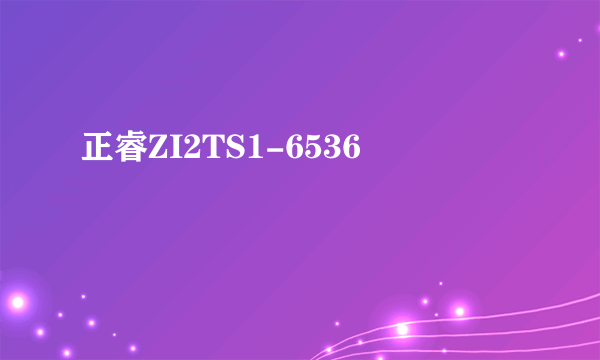 正睿ZI2TS1-6536