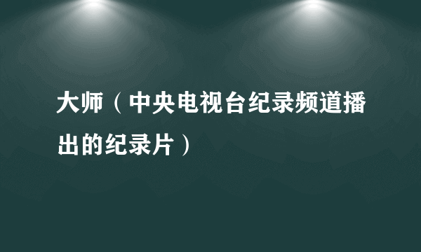 大师（中央电视台纪录频道播出的纪录片）