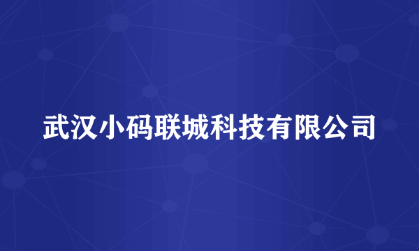 武汉小码联城科技有限公司