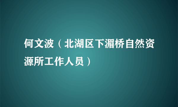 何文波（北湖区下湄桥自然资源所工作人员）