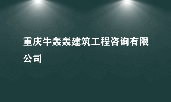 重庆牛轰轰建筑工程咨询有限公司