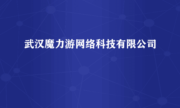 武汉魔力游网络科技有限公司