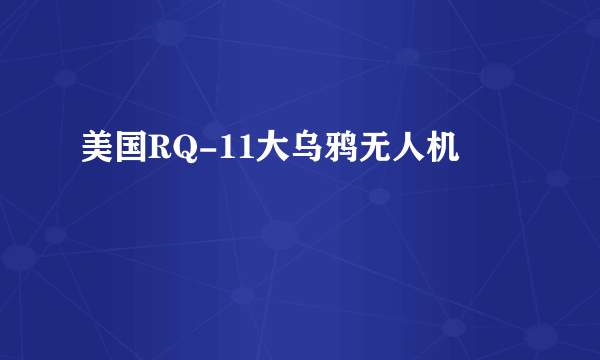 美国RQ-11大乌鸦无人机