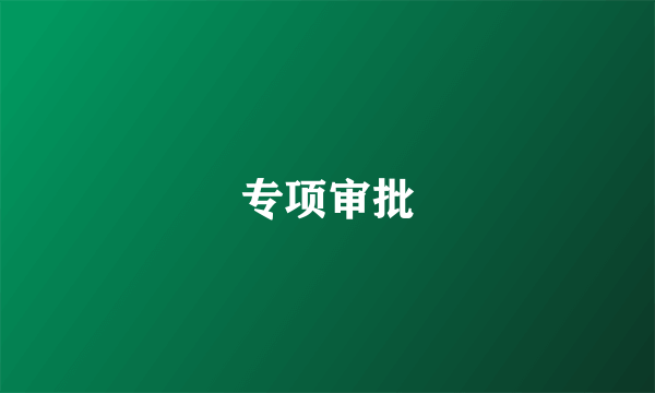 专项审批