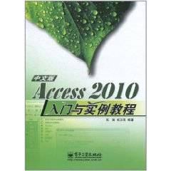 Access 2010中文版入门与实例教程