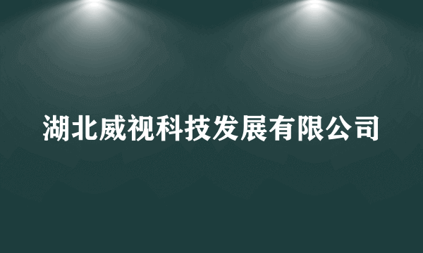 湖北威视科技发展有限公司