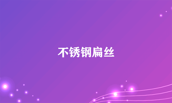 不锈钢扁丝