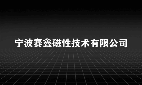 宁波赛鑫磁性技术有限公司