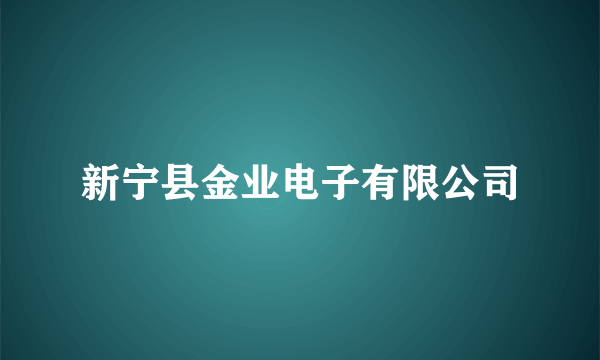 新宁县金业电子有限公司