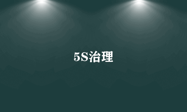 5S治理