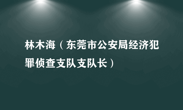 林木海（东莞市公安局经济犯罪侦查支队支队长）