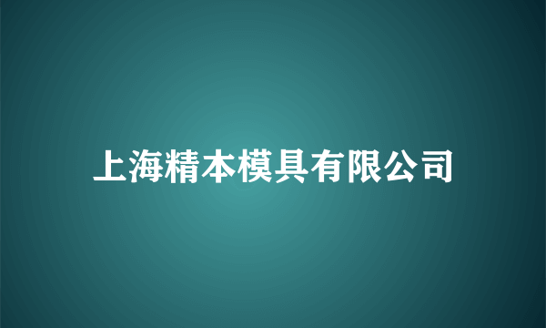 上海精本模具有限公司