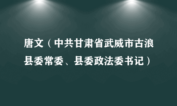 唐文（中共甘肃省武威市古浪县委常委、县委政法委书记）