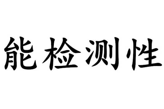 能检测性