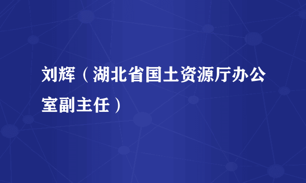 刘辉（湖北省国土资源厅办公室副主任）