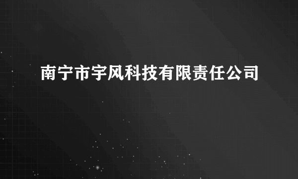 南宁市宇风科技有限责任公司