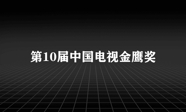 第10届中国电视金鹰奖